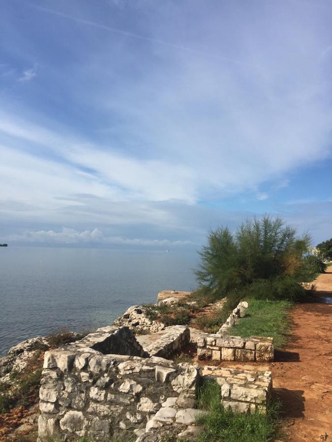 Villa Eva Karigador Novigrad Istria Eksteriør billede