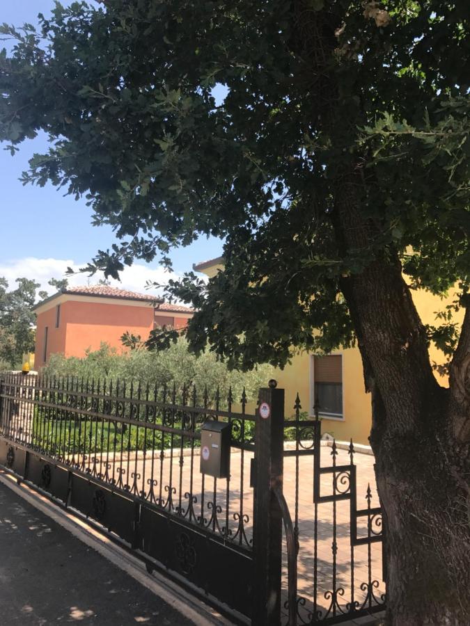 Villa Eva Karigador Novigrad Istria Eksteriør billede