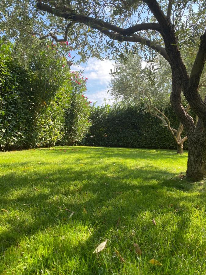 Villa Eva Karigador Novigrad Istria Eksteriør billede