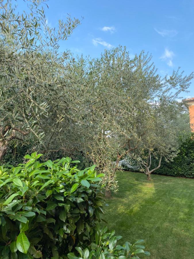 Villa Eva Karigador Novigrad Istria Eksteriør billede
