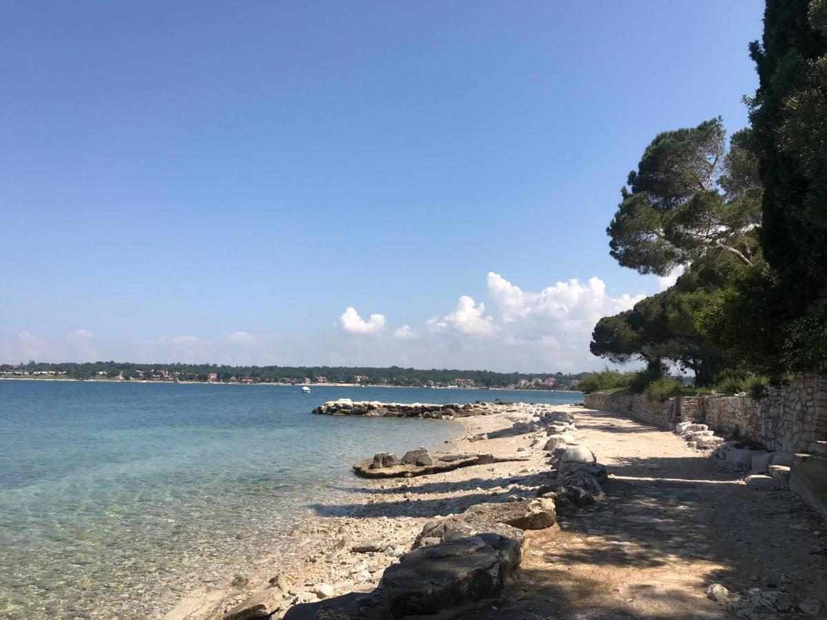 Villa Eva Karigador Novigrad Istria Eksteriør billede