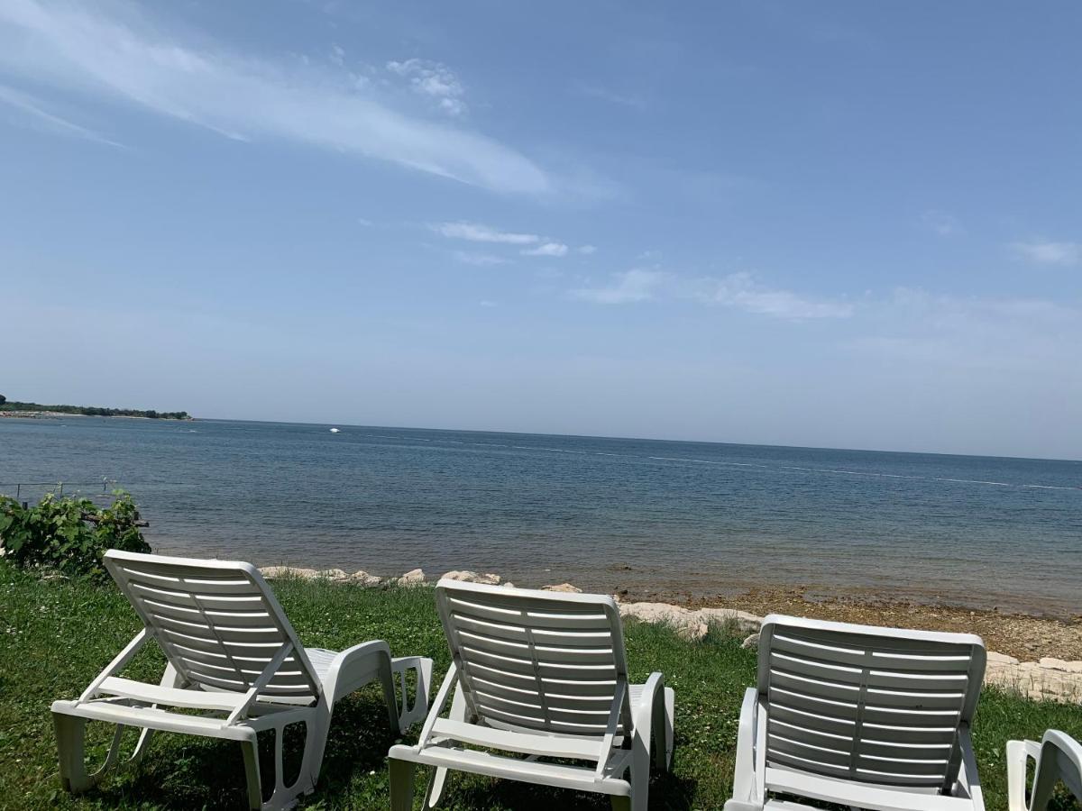 Villa Eva Karigador Novigrad Istria Eksteriør billede